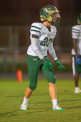 214451VHSBB_Lecanto311.jpg
