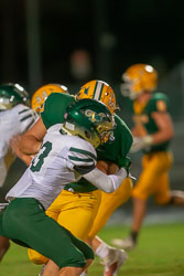 214456VHSBB_Lecanto315.jpg