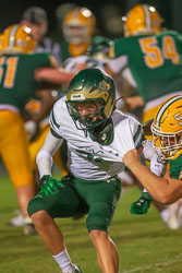 214457VHSBB_Lecanto319.jpg