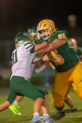 214615VHSBB_Lecanto328.jpg