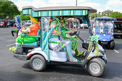 St Patrick Day Parade Photos