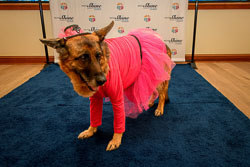 PWSImages070.jpg
