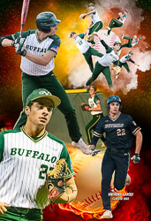 Baseball Collages 2022