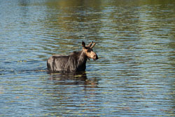 Gunflint Trail