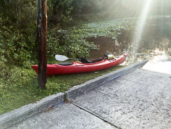 Ocklawaha River by Kayak