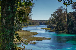 Rainbow Springs